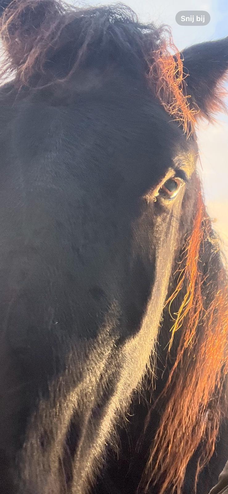 Zorgboerderij omgeving