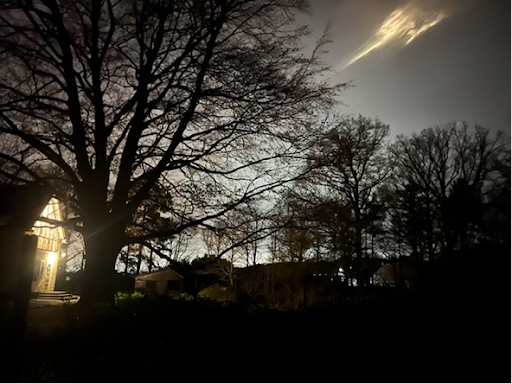 Bomen rondom de boerderij