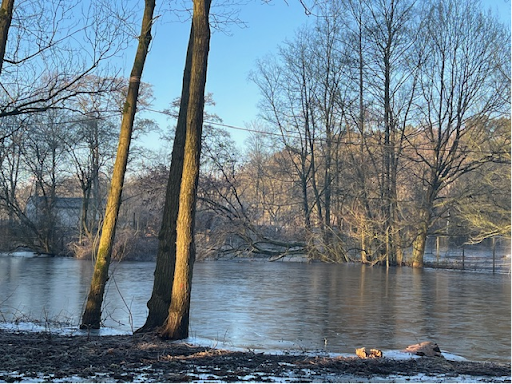Waterpartij bij Driehoeven