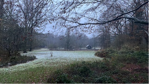 Natuurlijke omgeving